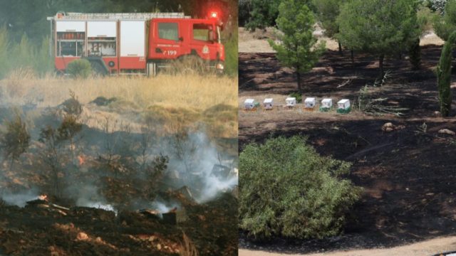 Ανατροπή με την φωτιά στο άλσος Βεΐκου: Αθώος ο μελισσοκόμος – «Έχω ξεφτιλιστεί δημοσίως»