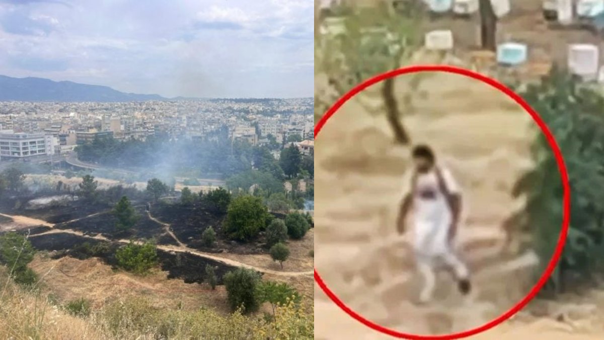 Φωτιά στο Άλσος Βεΐκου: Αναζητείται μελισσοκόμος – Βίντεο από την στιγμή που απομακρύνεται από το «σημείο μηδέν»