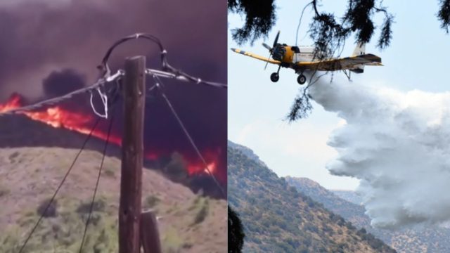 Ανεξέλεγκτη η πυρκαγιά στην Εύβοια: Κοντά σε σπίτια οι φλόγες – Πάνω από 100 πυροσβέστες στη μάχη (βίντεο)