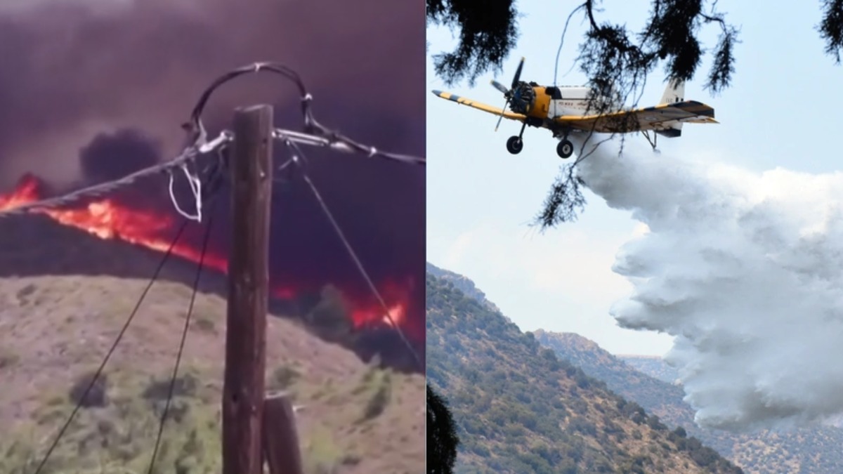 Ανεξέλεγκτη η πυρκαγιά στην Εύβοια: Κοντά σε σπίτια οι φλόγες – Πάνω από 100 πυροσβέστες στη μάχη (βίντεο)
