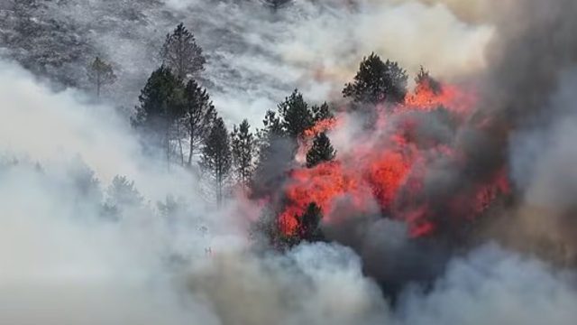 Βρετανία: Δασική πυρκαγιά στο Peak District καθώς οι θερμοκρασίες σπάνε νέο ρεκόρ Ιουνίου