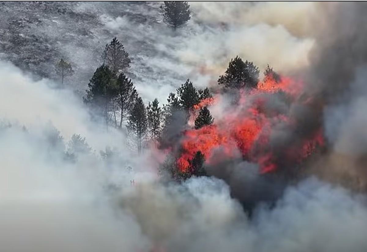 Βρετανία: Δασική πυρκαγιά στο Peak District καθώς οι θερμοκρασίες σπάνε νέο ρεκόρ Ιουνίου