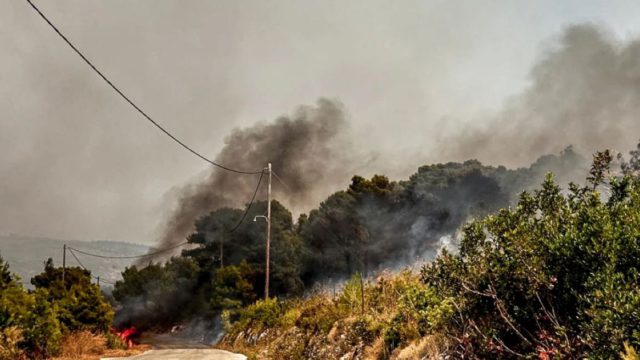 Συναγερμός στη Βοιωτία: Δασική πυρκαγιά στον Άγιο Βασίλειο