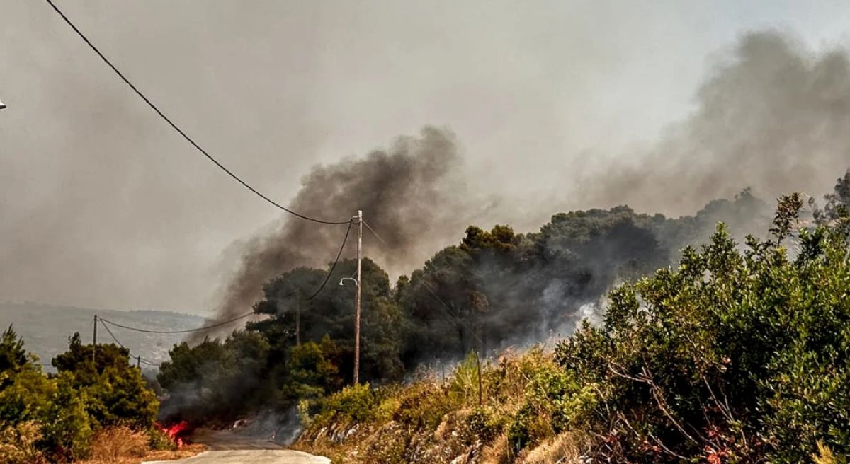 Συναγερμός στη Βοιωτία: Δασική πυρκαγιά στον Άγιο Βασίλειο