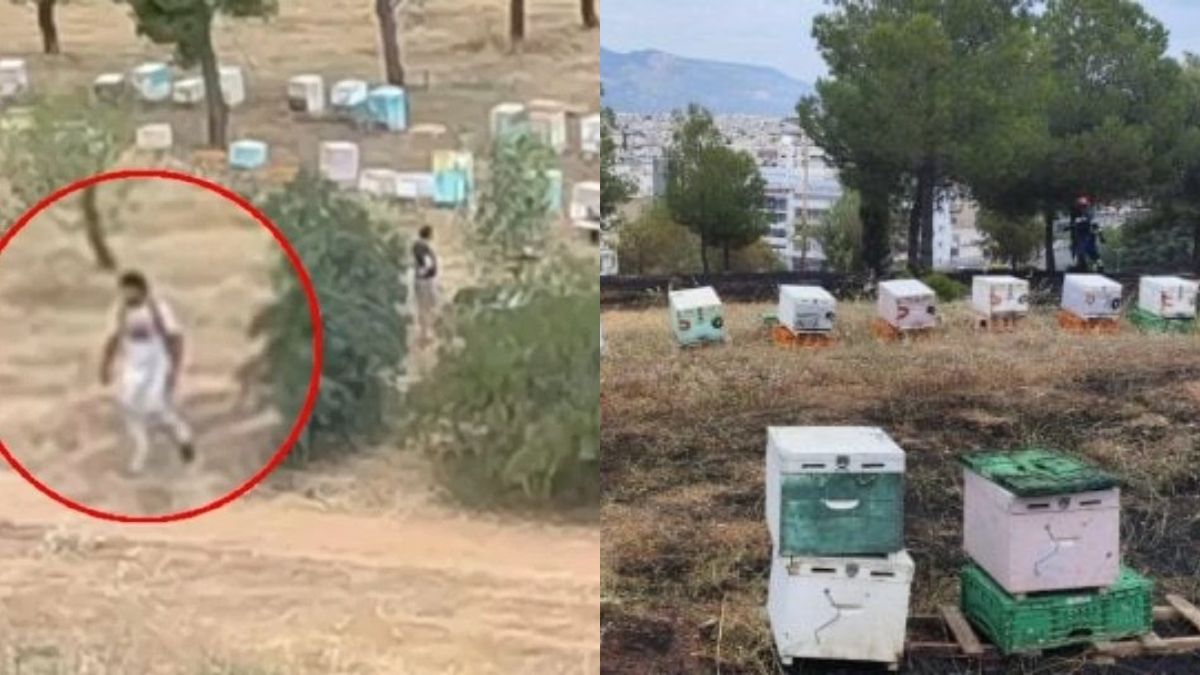 Φωτιά στο Άλσος Βεΐκου: Στη δικαιοσύνη 45χρονος μελισσοκόμος – Πώς οι Αρχές έφτασαν στη σύλληψή του
