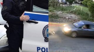 Σοκ προκαλεί η ταυτοποίηση της 60χρονης οδηγού που παρέσυρε θανάσιμα έναν ηλικιωμένο αδέσποτο σκύλο στη Γαστούνη.