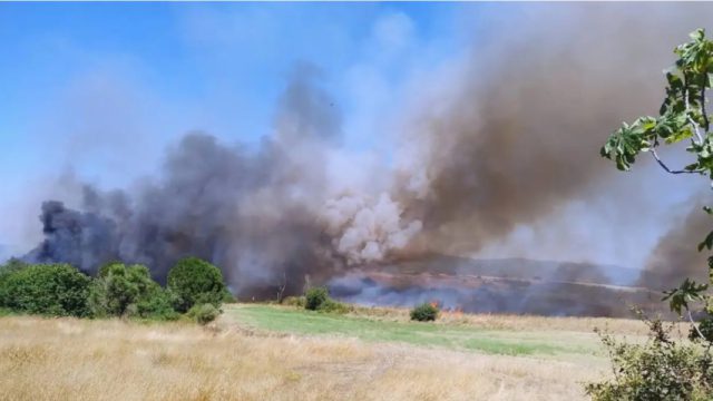 Μάχη με τις φλόγες στην Ηλεία: 80 πυροσβέστες, αεροσκάφη και ελικόπτερο επιχειρούν στη Βάρδα