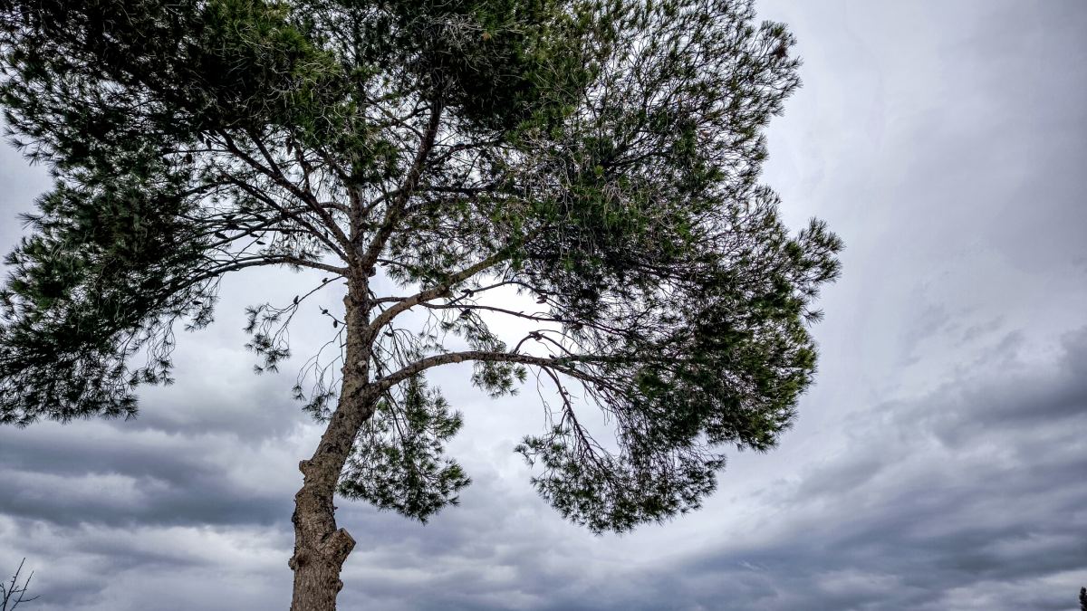 Καιρός σήμερα 9/6: Άστατο το σκηνικό την Τρίτη – Πώς θα επηρεαστεί η Αττική σύμφωνα με Αρναούτογλου και Μαρουσάκη
