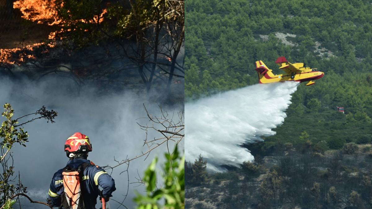 Μεγάλη φωτιά στην Αττική: Τρία ελικόπτερα επιχειρούν στο σημείο – Η ανακοίνωση της Πυροσβεστικής