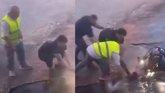 Δραματικές στιγμές στην Μυτιλήνη: Σοβαρός τραυματισμός εργαζομένου όταν έσπασε ο κάβος (βίντεο)