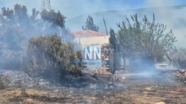 Συναγερμός στη Ναύπακτο: Μεγάλη φωτιά τώρα δίπλα σε σπίτια!