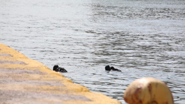 Τραγωδία στο λιμάνι του Πειραιά: Βρέθηκε νεκρός ο οδηγός ταξί – Το αυτοκίνητό του είχε πέσει στη θάλασσα