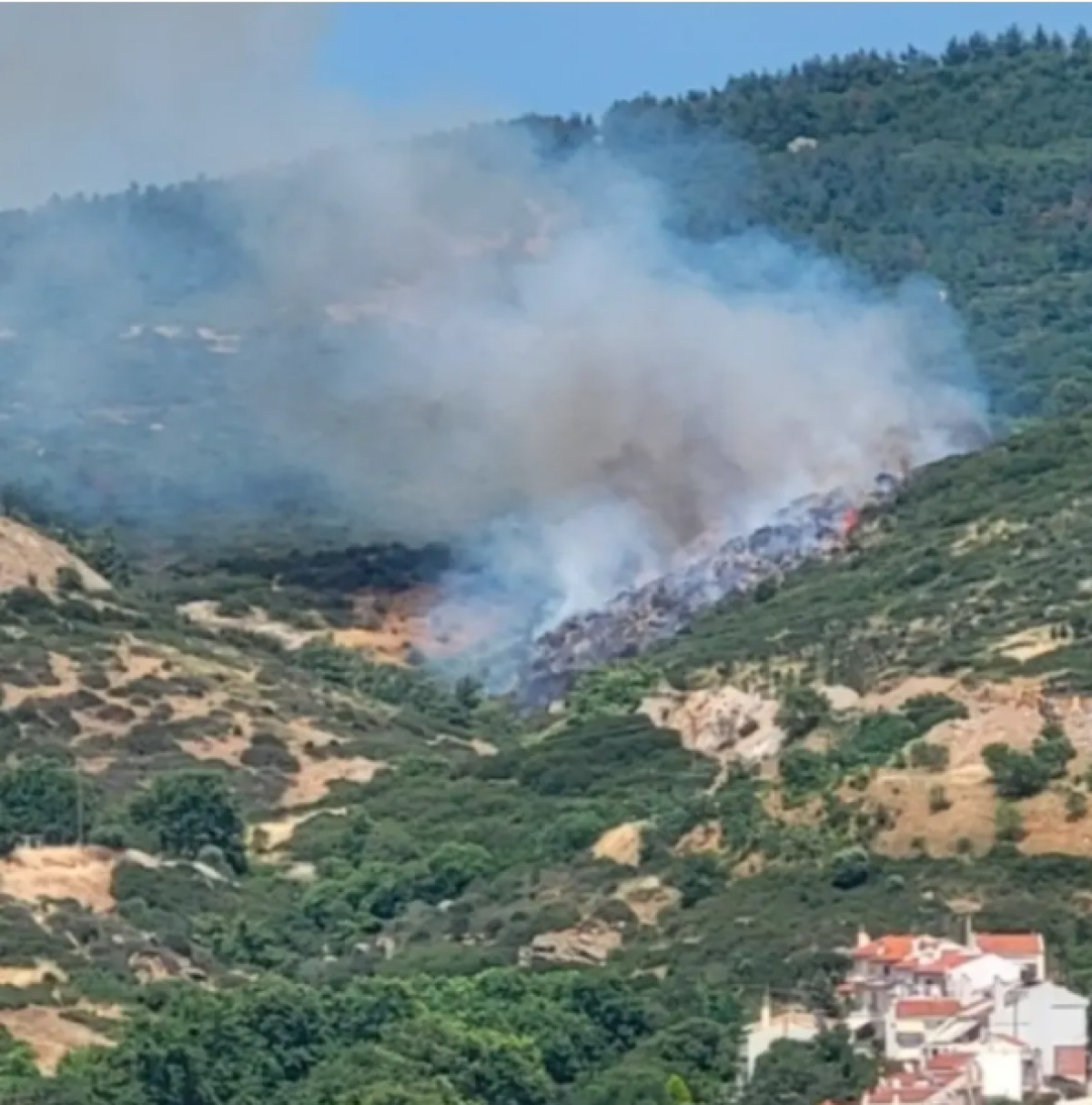 Φωτιά στα Πεύκα Θεσσαλονίκης