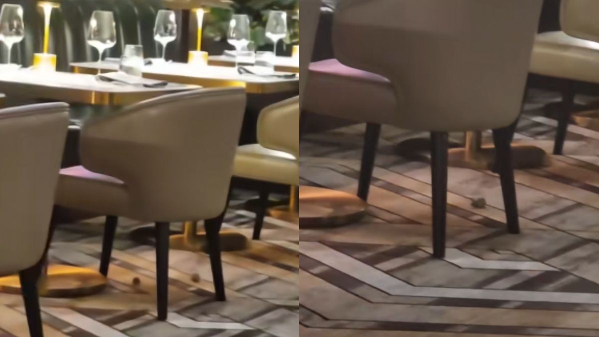 Σοκ σε εστιατόριο πασίγνωστου σεφ: Ποντίκια έκοβαν βόλτες ανάμεσα στους πελάτες (Video)