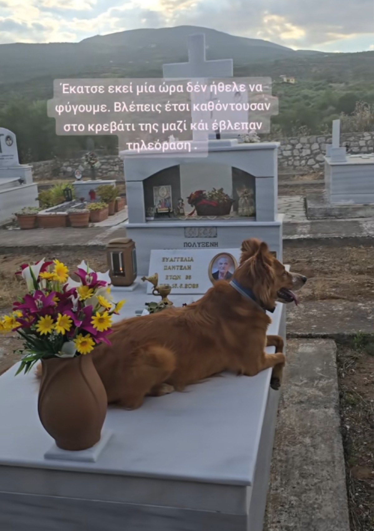 Ο σκύλος πάντα δίπλα στο αφεντικό του