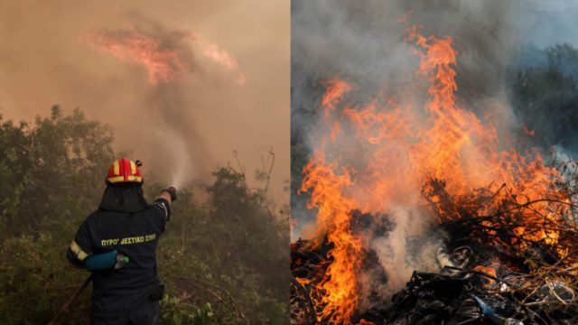 Οργή στα Χανιά: Συνελήφθη 45χρονη Ουκρανή για εμπρησμό από πρόθεση – Τι ανακάλυψαν οι αστυνομικοί