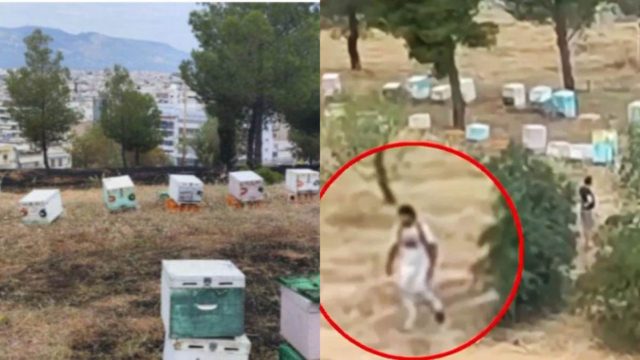 Φωτιά στο Άλσος Βεΐκου: Βίντεο «καίει» μελισσοκόμο που φεύγει από το σημείο – Άφαντος παραμένει