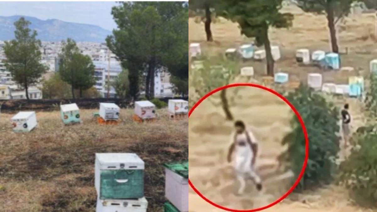Φωτιά στο Άλσος Βεΐκου: Βίντεο «καίει» μελισσοκόμο που φεύγει από το σημείο – Άφαντος παραμένει