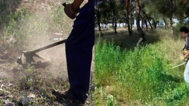 Αντίστροφη μέτρηση για τον καθαρισμό οικοπέδων – Έρχονται πρόστιμα και κυρώσεις