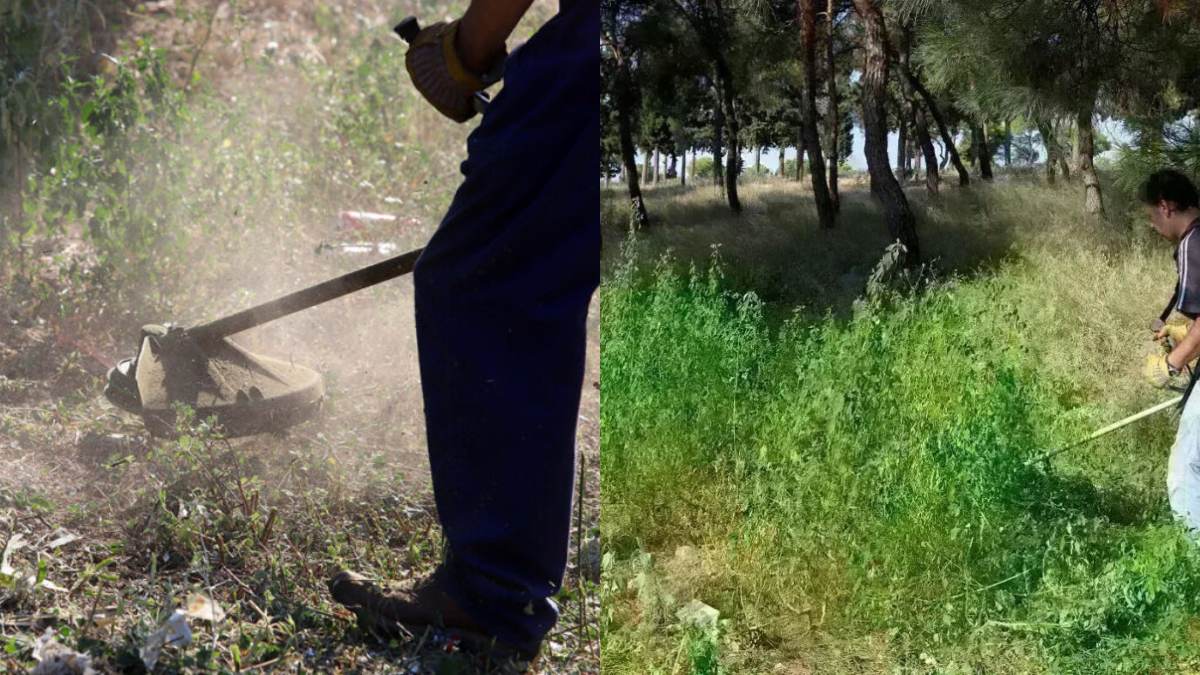 Αντίστροφη μέτρηση για τον καθαρισμό οικοπέδων – Έρχονται πρόστιμα και κυρώσεις