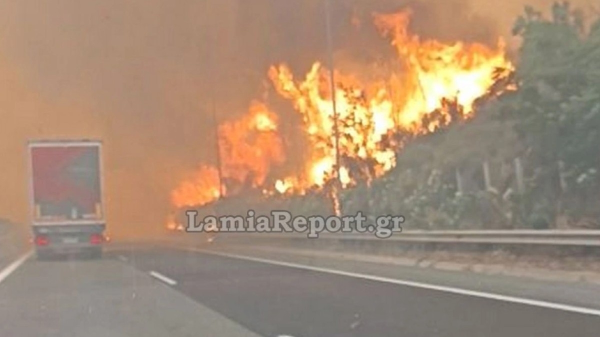 Συναγερμός στη Βοιωτία: Μεγάλη φωτιά στο Ακραίφνιο – Έκλεισε η Εθνική Οδός Αθηνών – Λαμίας