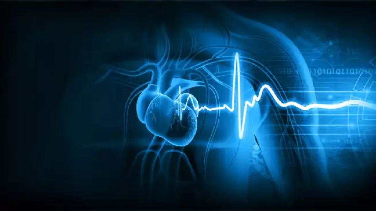 Ο εγκέφαλος σε κατάσταση «μάχης ή φυγής»