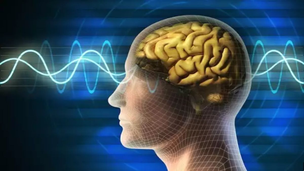 Η σύνδεση μεταξύ άγχους, εγκεφάλου και συνολικής υγείας