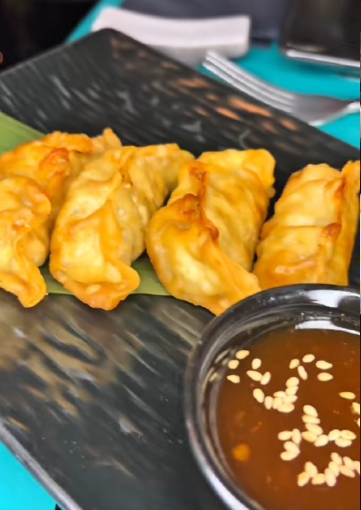 Τα τηγανητά ιαπωνικά dumplings