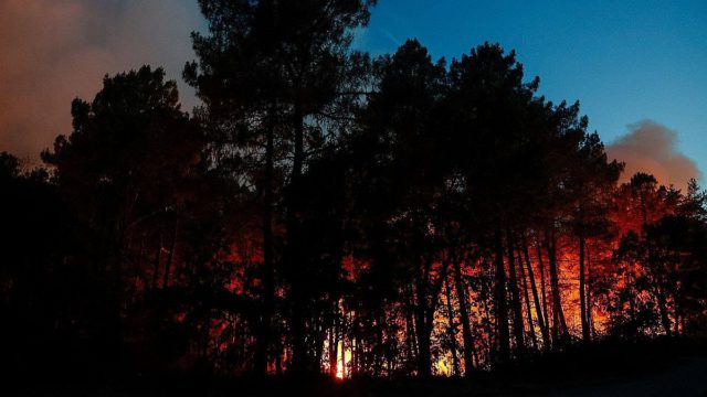 Πύρινος εφιάλτης στο Φοντενεμπλό: Μια πυρκαγιά «πρωτοφανούς έκτασης» έξω από το Παρίσι συγκλονίζει τη Γαλλία εν μέσω καύσωνα