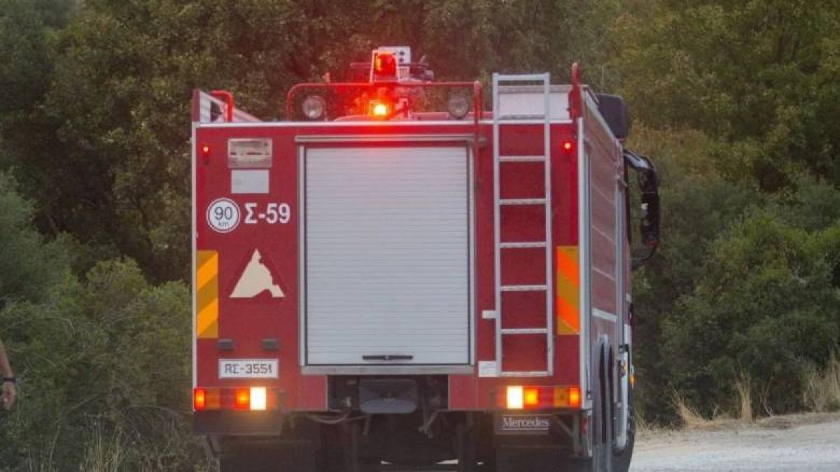 Μεγάλη κινητοποίηση στον Αγερανό Λακωνίας – Στο έργο της κατάσβεσης και εναέρια μέσα