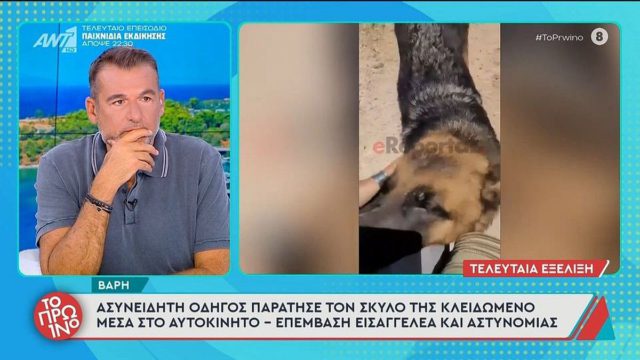 Συναγερμός στη Βάρη: Δραματική διάσωση σκύλου που είχε «εγκλωβιστεί» σε φλεγόμενο αυτοκίνητο για 5 ώρες