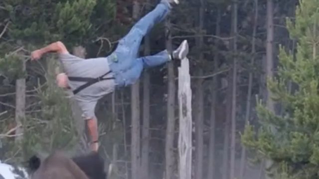 Βίντεο σοκ: Βίσωνας 900 κιλών εκτοξεύει τουρίστα 2,5 μέτρα στον αέρα!