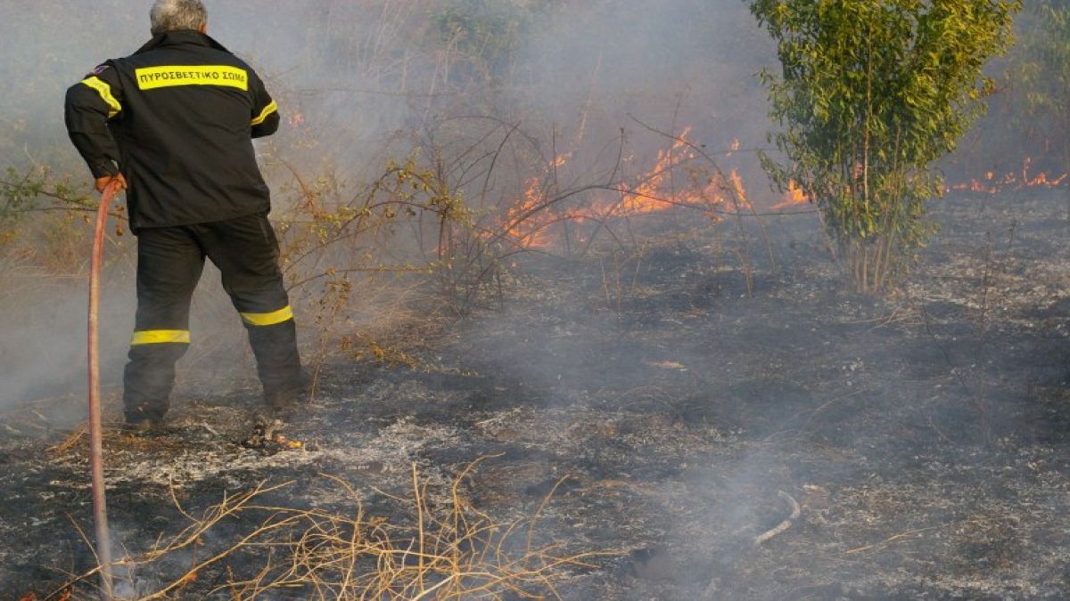 Φωτιά στην Κρήτη: Δύο πύρινα μέτωπα σε Ηράκλειο και Ρέθυμνο – Μεγάλη κινητοποίηση της Πυροσβεστικής