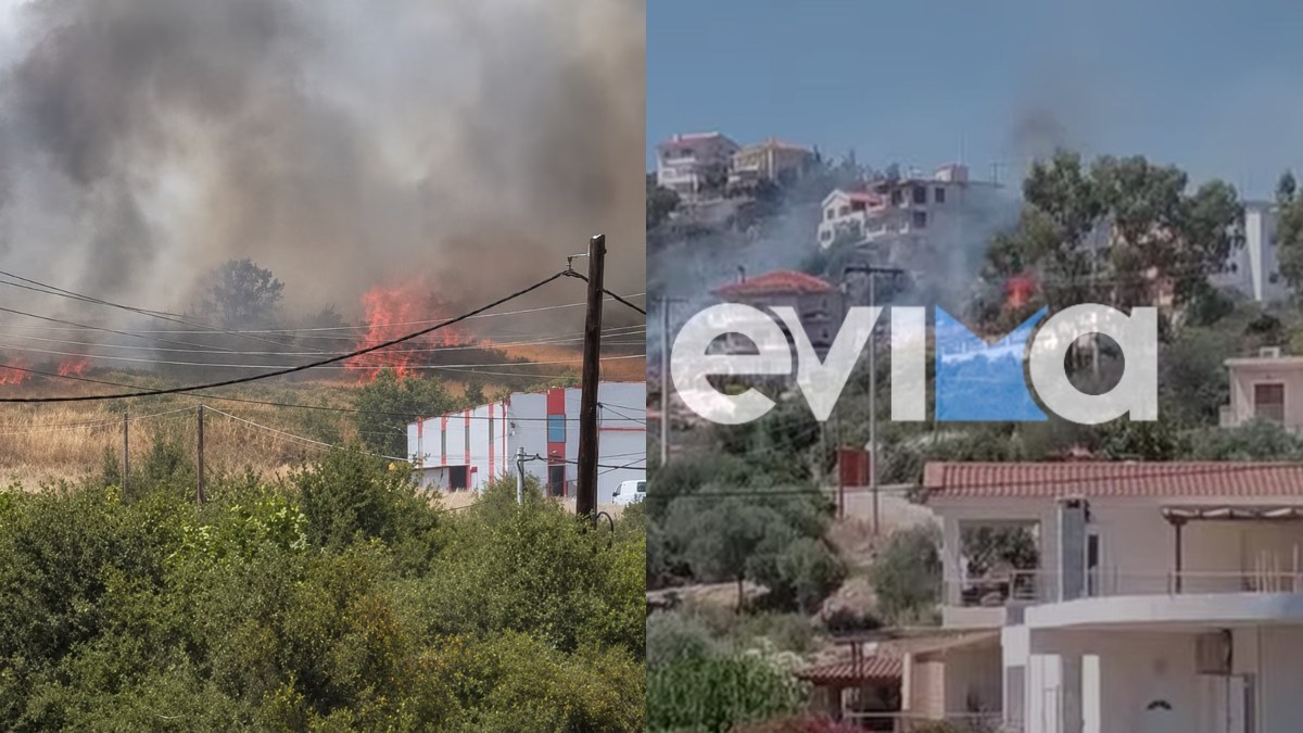 Πυρκαγιά στην Εύβοια: Οι φλόγες δίπλα στα σπίτια – Συγκλονίζουν τα πρώτα βίντεο και οι εικόνες από το σημείο