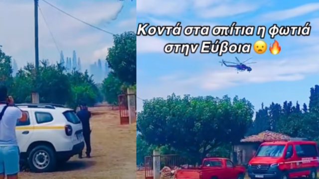 Στιγμές αγωνίας στην Χαλκίδα: Οριοθετήθηκε η φωτιά – Οι φλόγες έφτασαν δίπλα στα σπίτια, δείτε βίντεο