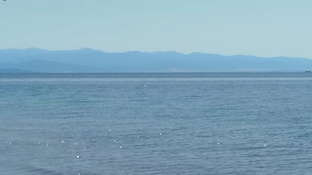 Εντυπωσιακό θέαμα στον Βόλο: Φάλαινα έκανε την εμφάνισή της στα ανοιχτά της περιοχής (Video)