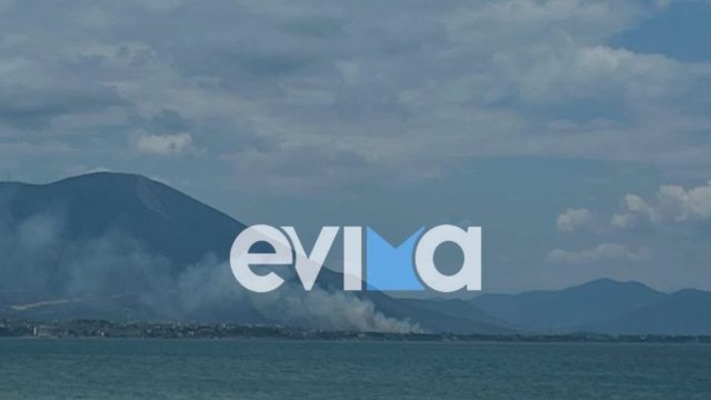 Φωτιά στη Χαλκίδα: Μεγάλη κινητοποίηση στον Άγιο Μηνά – Επίγειες και εναέριες δυνάμεις στη μάχη με τις φλόγες – Ήχησε το 112