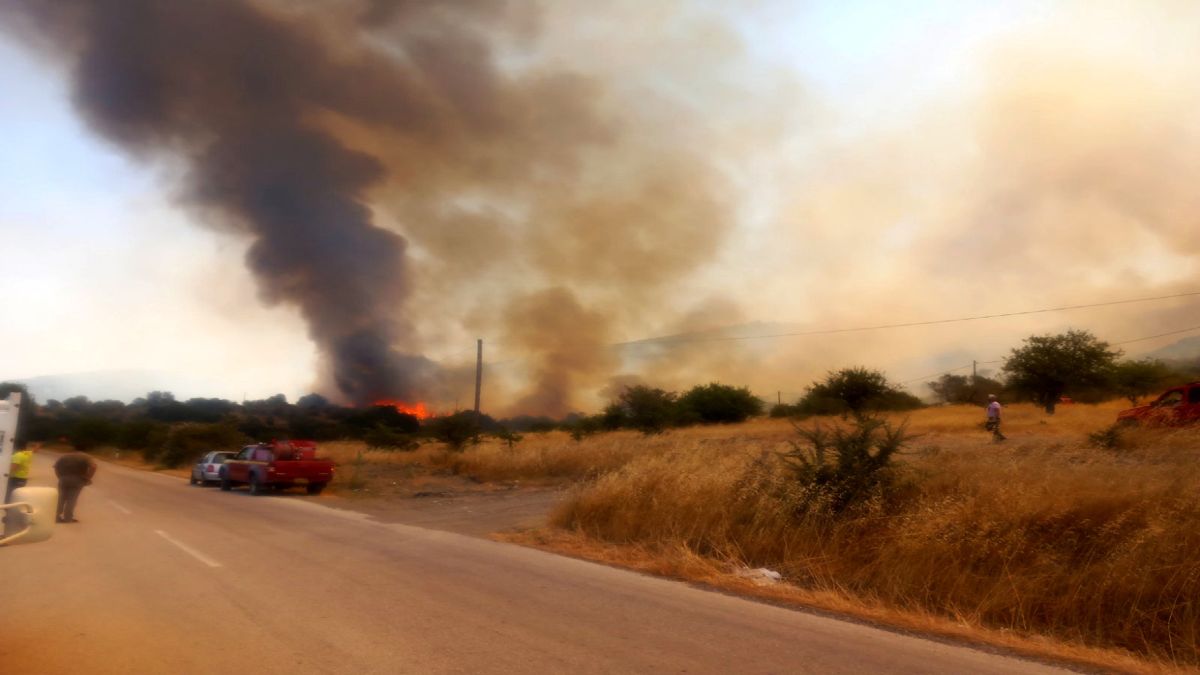 Φωτιά στην Επίδαυρο τώρα: Ενισχύθηκαν οι δυνάμεις – Μάχη με τις φλόγες από 88 πυροσβέστες και 12 εναέρια μέσα