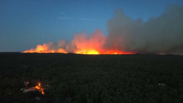 Πύρινος εφιάλτης στη Γαλλία: Ανεξέλεγκτη η πυρκαγιά στο ιστορικό δάσος του Φοντενεμπλό – Κάηκαν πάνω από 10.000 στρέμματα