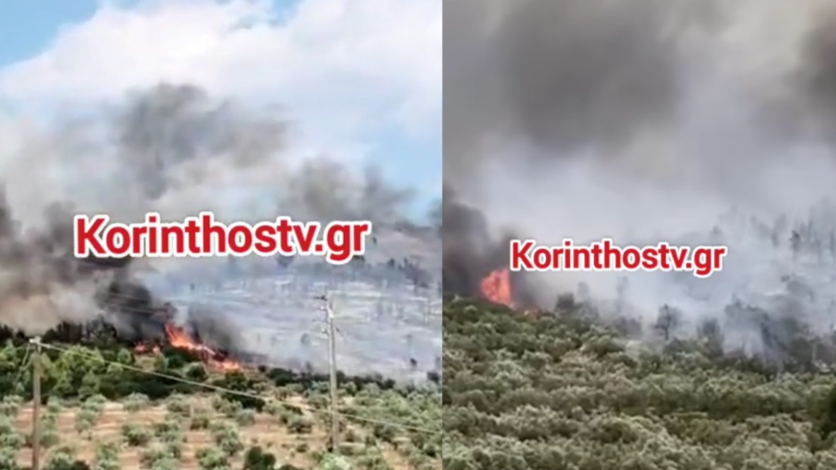 Ανεξέλεγκτη η πυρκαγιά στην Κορινθία: Μήνυμα 112 – Σηκώθηκαν 7 εναέρια, βίντεο και φωτογραφίες