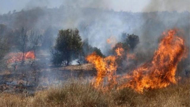 Σε εξέλιξη η φωτιά στο Πλωμάρι Λέσβου: Ενισχύθηκαν οι πυροσβεστικές δυνάμεις με έξι εναέρια μέσα