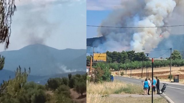 Μεγάλη φωτιά στην Οινόη: Μήνυμα από το 112 – Επιχειρούν 11 εναέρια μέσα, που έχει διακοπεί η κυκλοφορία