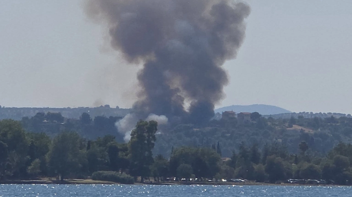 Σε πλήρη εξέλιξη η επιχείρηση κατάσβεσης της πυρκαγιάς σε αγροτοδασική έκταση στον Ωρωπό.