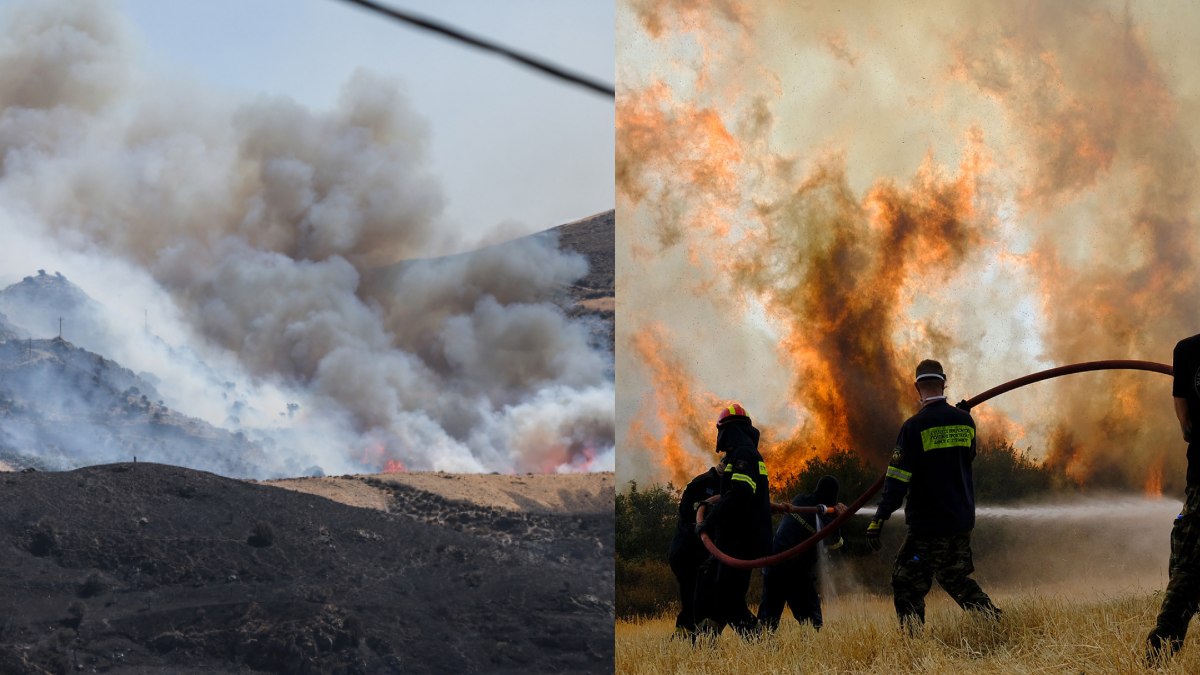 Πύρινη κόλαση σε Ρέθυμνο, Πάρο, Κάλυμνο και Άνδρο: Πυρκαγιά στο φοινικόδασος της Πρέβελης, οι φλόγες μπήκαν σε αυλές – Βίντεο και εικόνες
