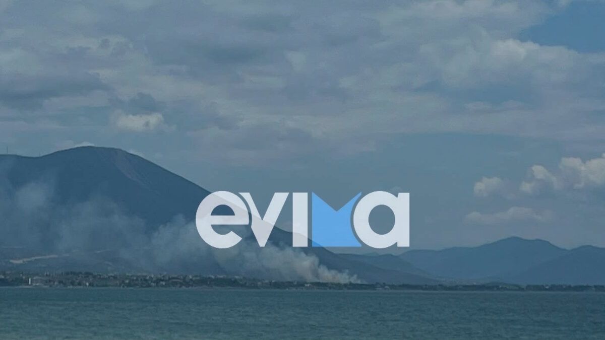 Φωτιά στη Χαλκίδα: Μεγάλη κινητοποίηση στον Άγιο Μηνά – Επίγειες και εναέριες δυνάμεις στη μάχη με τις φλόγες