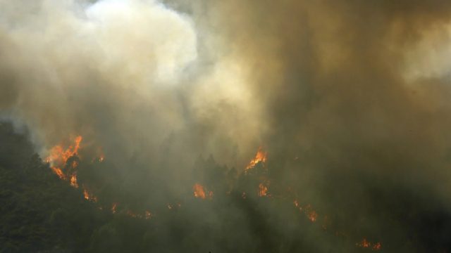 Πορτογαλία: Εννέα τραυματίες από τις καταστροφικές πυρκαγιές – Έκκληση για διεθνή βοήθεια