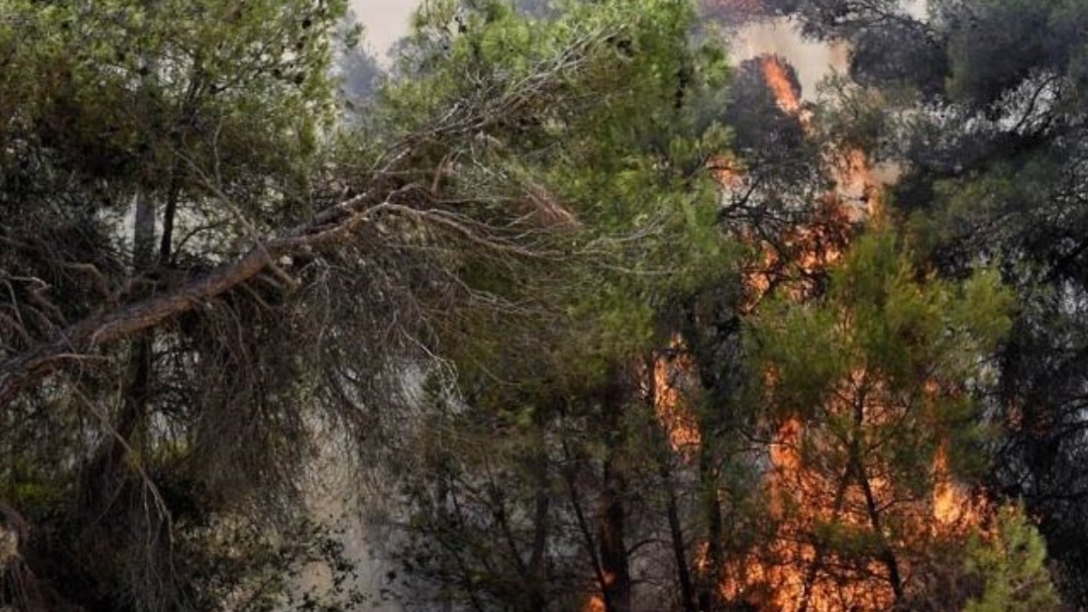 Φωτιά στην Κινέτα