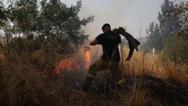 Συναγερμός στον Έβρο: Πυρκαγιά σε αγροτική έκταση κοντά στο Σουφλί