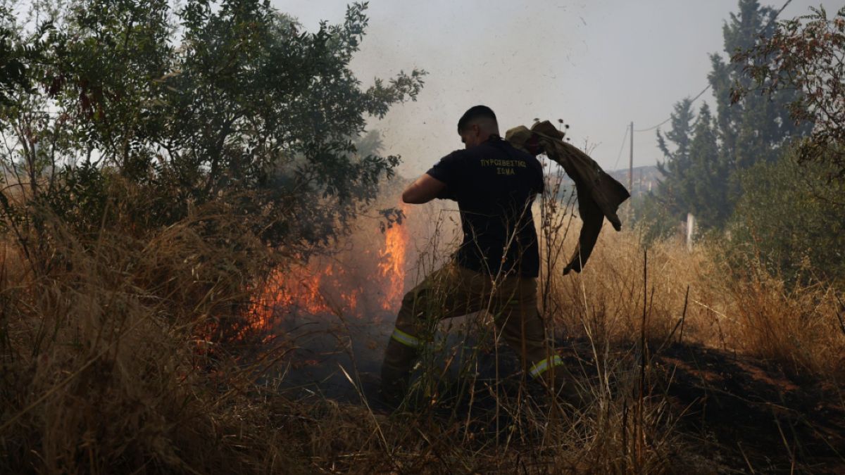 Συναγερμός στον Έβρο: Πυρκαγιά σε αγροτική έκταση κοντά στο Σουφλί