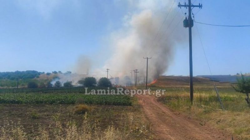 Φθιώτιδα: Υπό έλεγχο η φωτιά στο Παλαιοχώρι